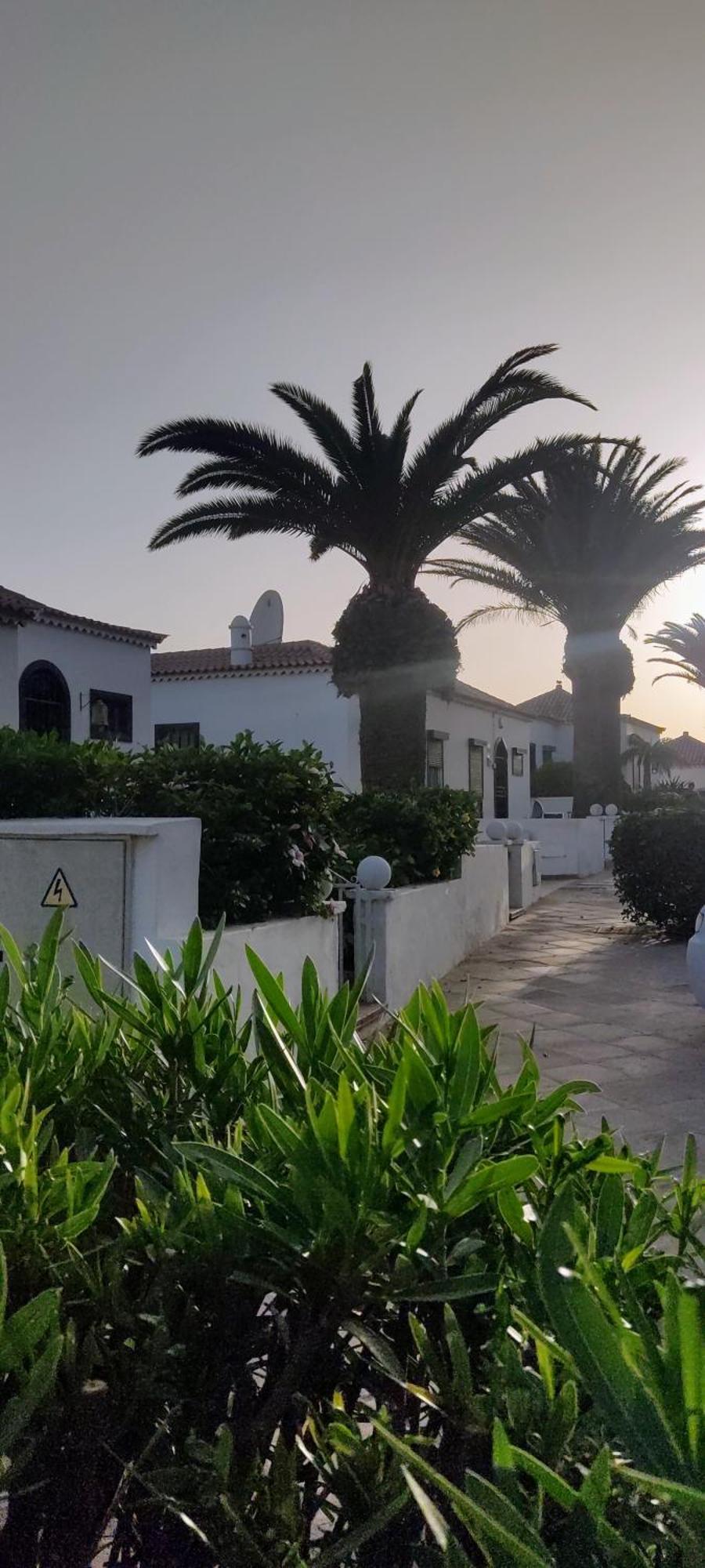 Promenade Paradise Apartment San Miguel de Abona